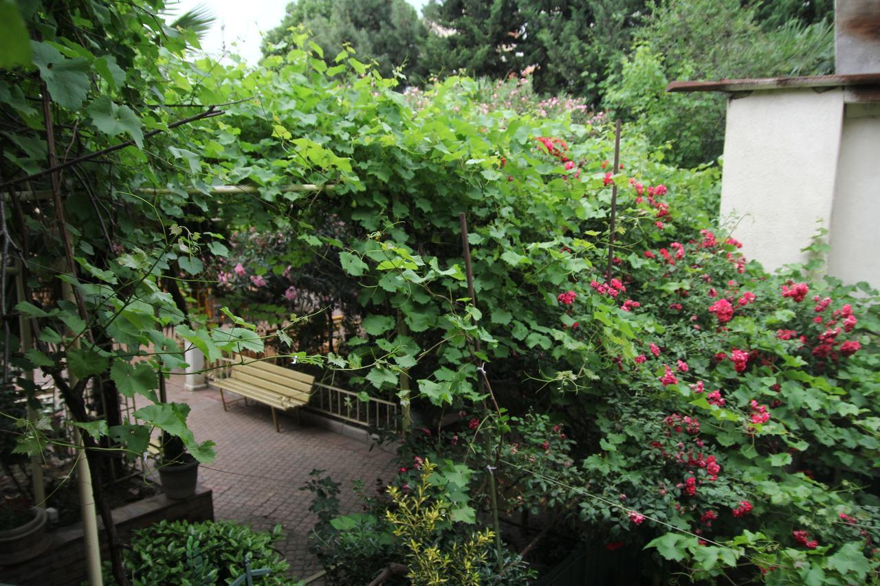 Guesthouse Different Tbilisi Eksteriør bilde