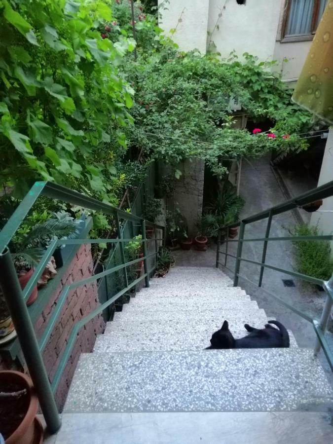 Guesthouse Different Tbilisi Eksteriør bilde